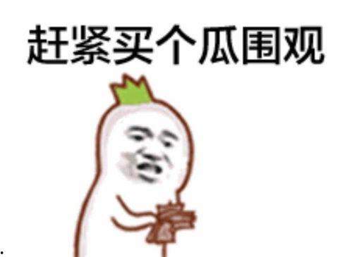 朝阳吃瓜群众 吃瓜视频在线 五一今日爆料,吃瓜视频在线，五一今日爆料大揭秘！